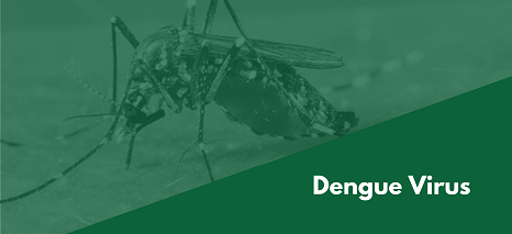 Dengue 2018-2024