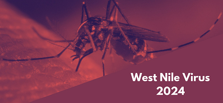 West Nile Virus 2024