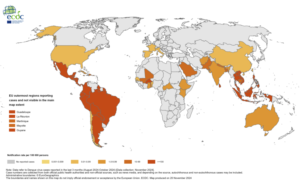 Mappa casi dengue agosto ottobre 2024